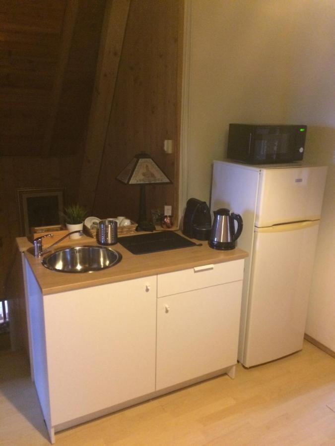 Cosy Rooms On The Lake Near Budapest And The Airport Isaszeg Bagian luar foto